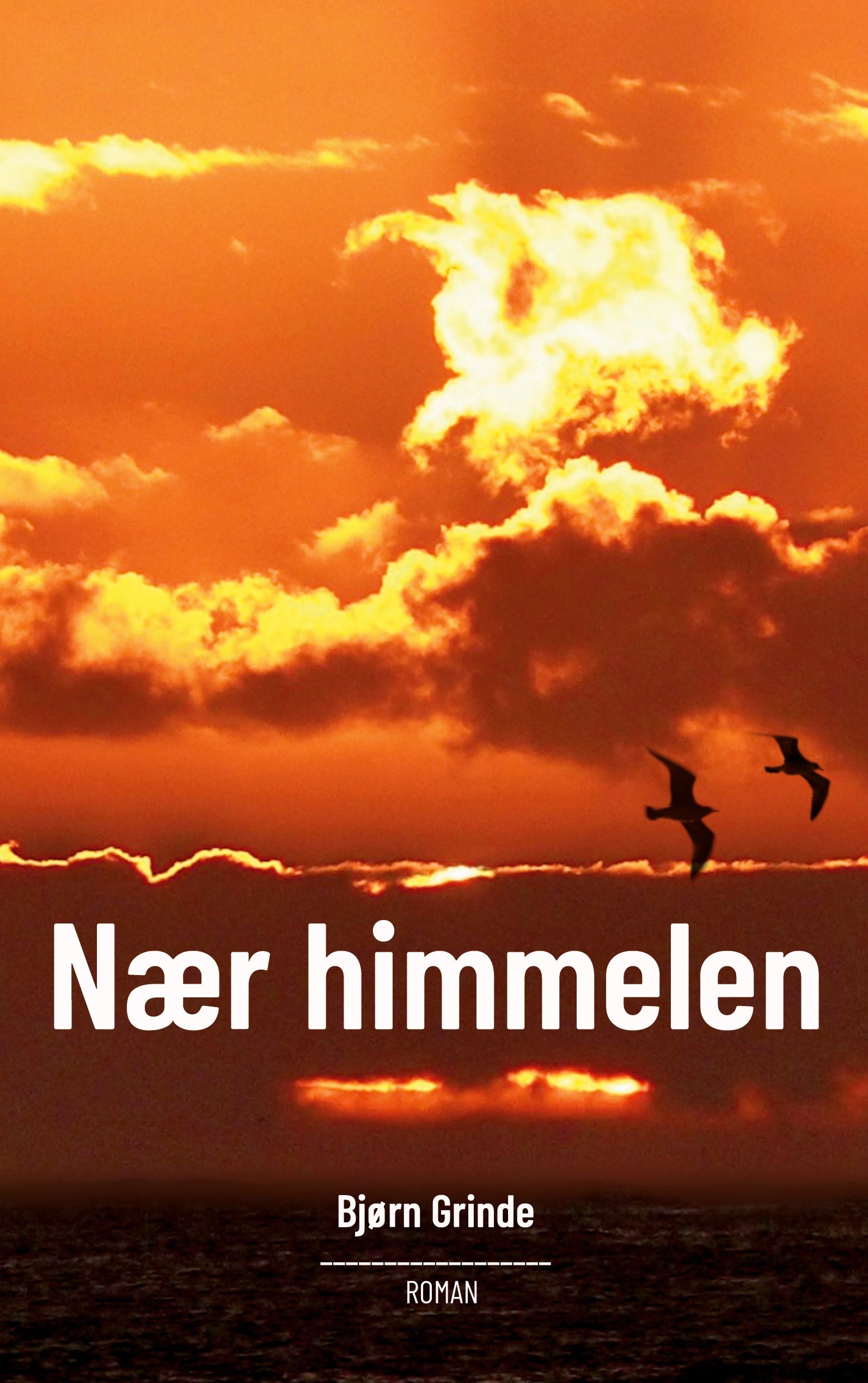 Nær himmelen - roman