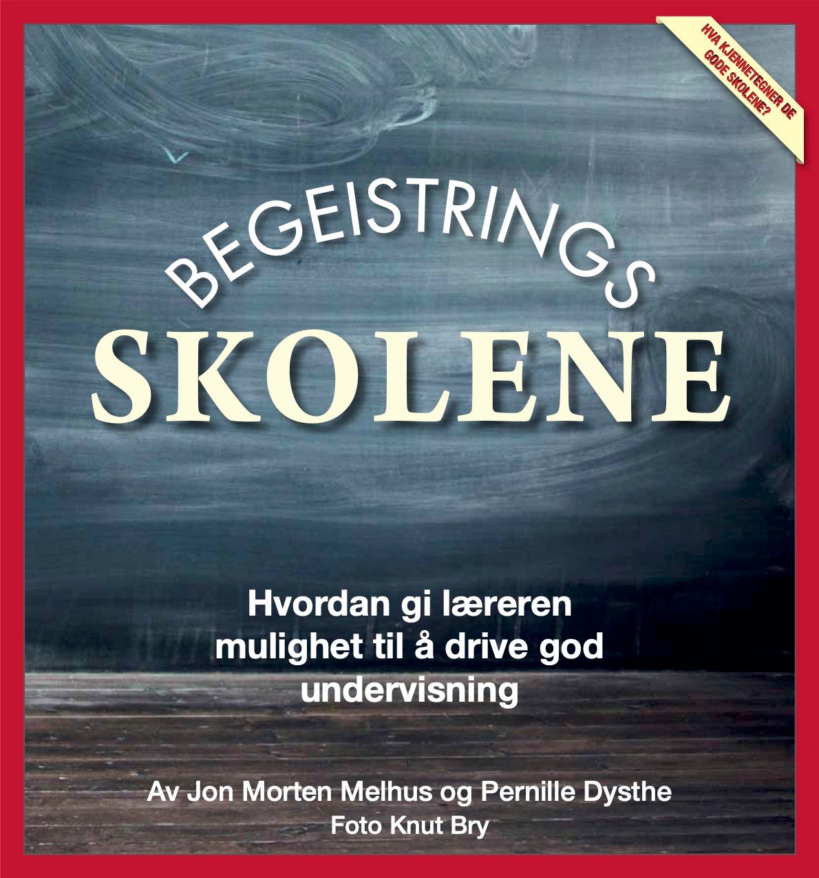 Begeistringsskolene! - slik lykkes rektor og lærere på 11 norske skoler