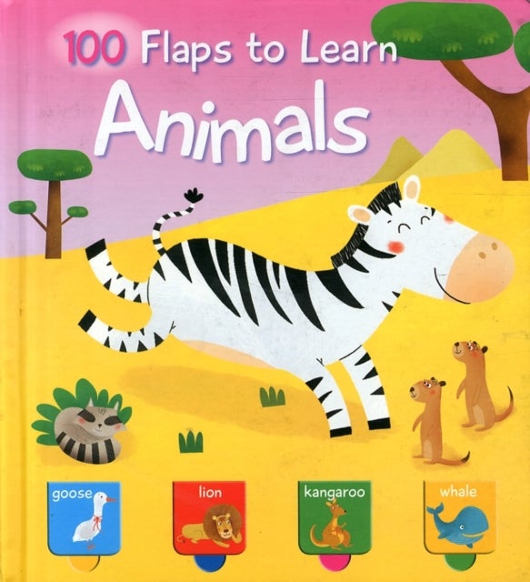 100 Flaps to Learn