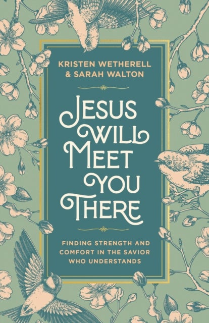 Jesus Will Meet You There - Finding Strength and Comfort in the Savior Who Understands