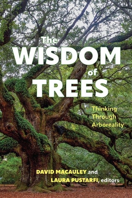 The Wisdom of Trees - Thinking Through Arboreality
