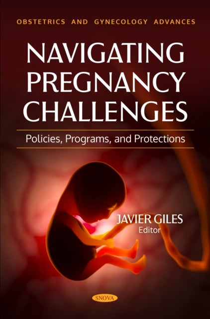 Navigating Pregnancy Challenges: Policies, Programs, and Protections