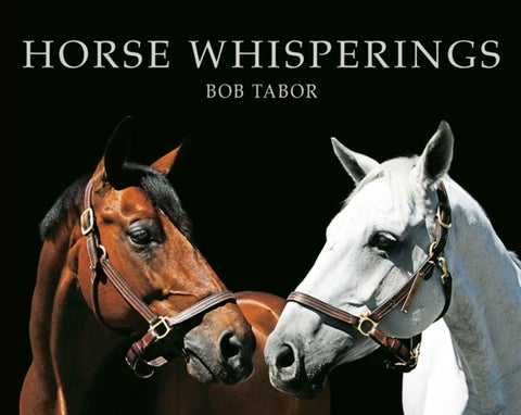 Horse Whisperings - Portraits by Bob Tabor