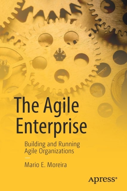 The Agile Enterprise - Building and Running Agile Organizations