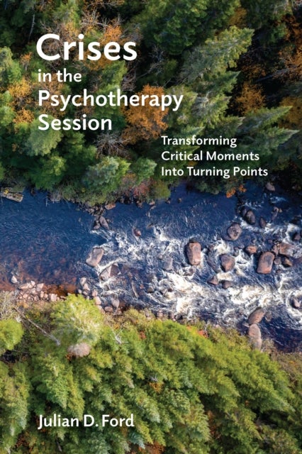Crises in the Psychotherapy Session - Transforming Critical Moments Into Turning Points