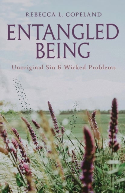 Entangled Being - Unoriginal Sin and Wicked Problems