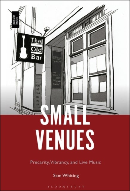 Small Venues - Precarity, Vibrancy and Live Music