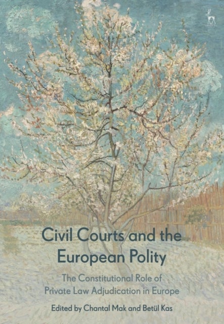 Civil Courts and the European Polity - The Constitutional Role of Private Law Adjudication in Europe
