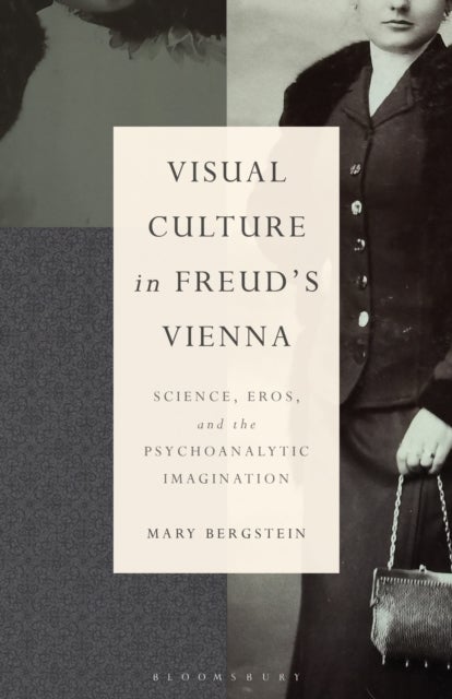 Visual Culture in Freud's Vienna - Science, Eros, and the Psychoanalytic Imagination