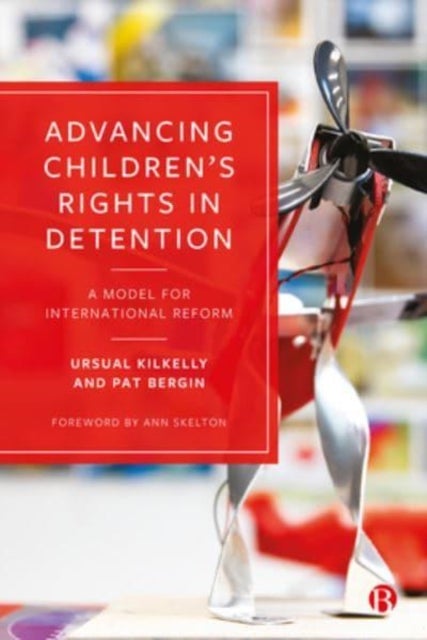Advancing Children¿s Rights in Detention - A Model for International Reform