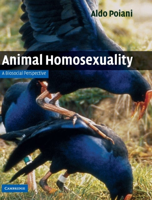 Animal Homosexuality - A Biosocial Perspective