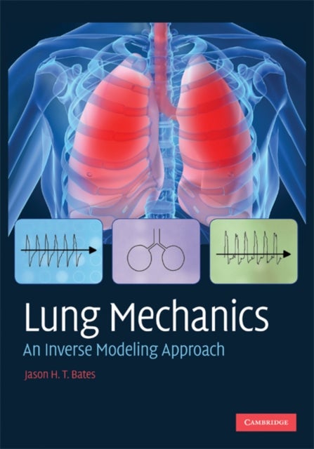 Lung Mechanics - An Inverse Modeling Approach