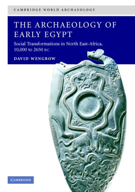 The Archaeology of Early Egypt - Social Transformations in North-East Africa, c.10,000 to 2,650 BC