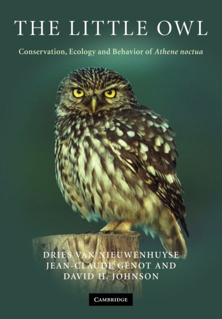 The Little Owl - Conservation, Ecology and Behavior of Athene Noctua
