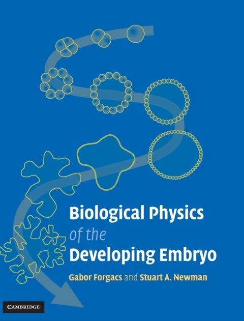 Biological Physics of the Developing Embryo
