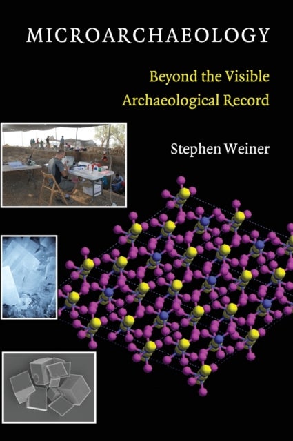 Microarchaeology - Beyond the Visible Archaeological Record