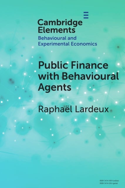 Public Finance with Behavioural Agents