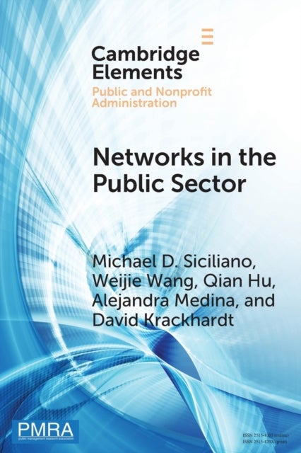 Networks in the Public Sector - A Multilevel Framework and Systematic Review
