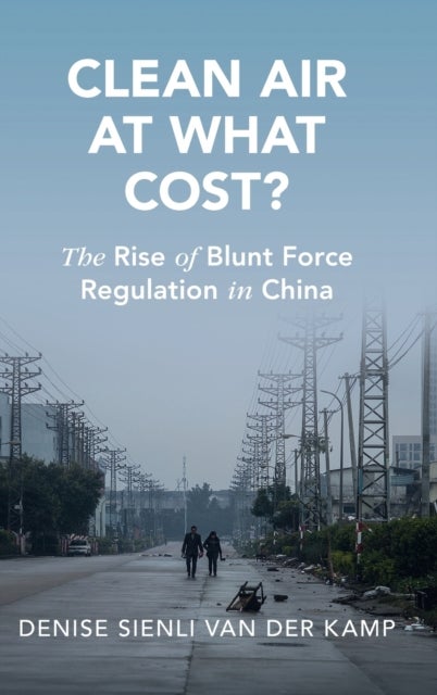 Clean Air at What Cost? - The Rise of Blunt Force Regulation in China