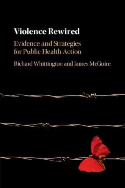Violence Rewired - Evidence and Strategies for Public Health Action