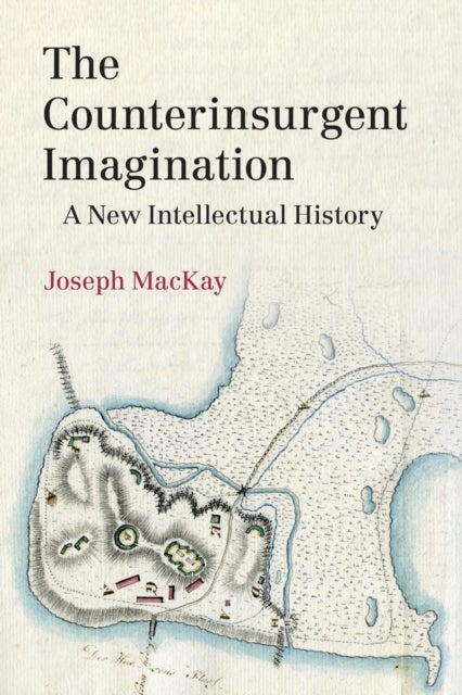 The Counterinsurgent Imagination - A New Intellectual History