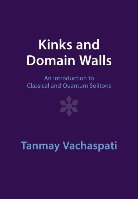 Kinks and Domain Walls - An Introduction to Classical and Quantum Solitons
