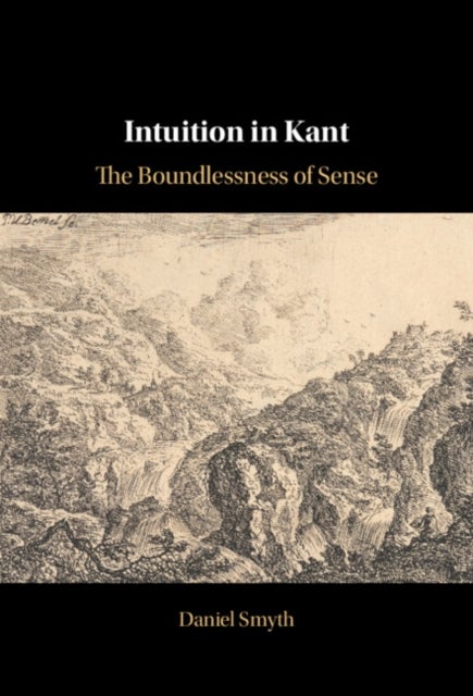 Intuition in Kant - The Boundlessness of Sense