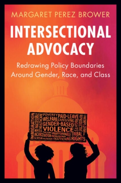 Intersectional Advocacy - Redrawing Policy Boundaries Around Gender, Race, and Class