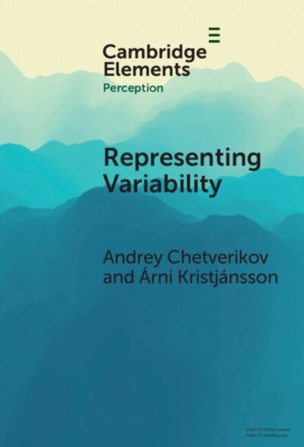 Representing Variability - How Do We Process the Heterogeneity in the Visual Environment?