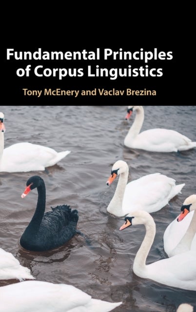 Fundamental Principles of Corpus Linguistics
