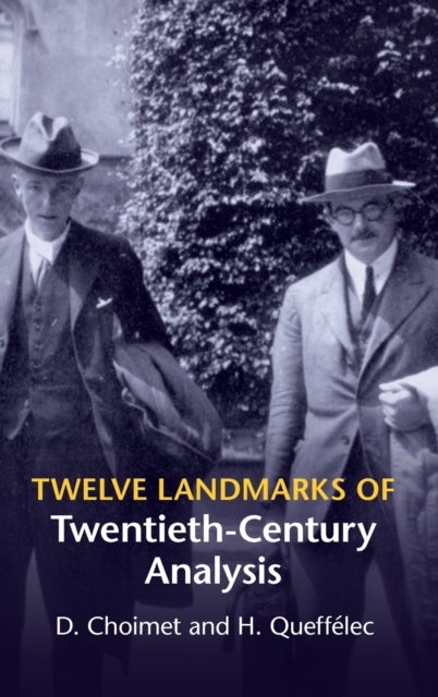 Twelve Landmarks of Twentieth-Century Analysis