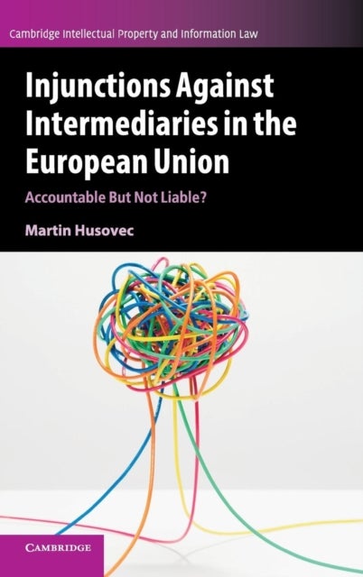 Injunctions against Intermediaries in the European Union - Accountable but Not Liable?