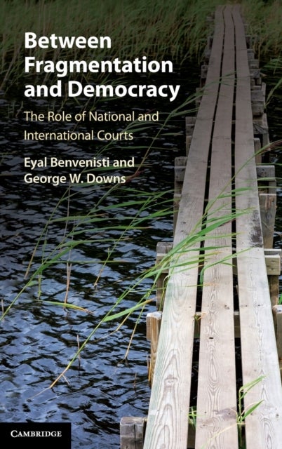 Between Fragmentation and Democracy - The Role of National and International Courts