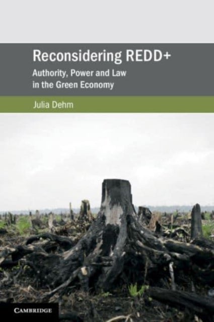 Reconsidering REDD+ - Authority, Power and Law in the Green Economy