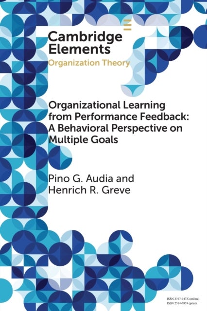 Organizational Learning from Performance Feedback: A Behavioral Perspective on Multiple Goals - A Multiple Goals Perspective