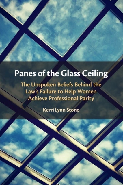Panes of the Glass Ceiling - The Unspoken Beliefs Behind the Law's Failure to Help Women Achieve Professional Parity