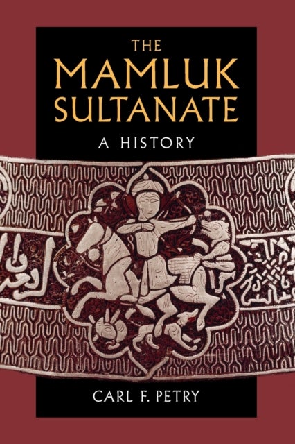 The Mamluk Sultanate - A History