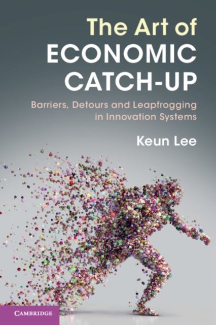 The Art of Economic Catch-Up - Barriers, Detours and Leapfrogging in Innovation Systems