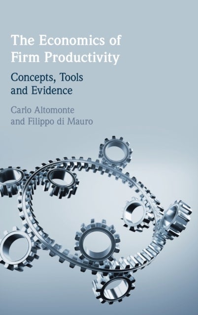 The Economics of Firm Productivity - Concepts, Tools and Evidence