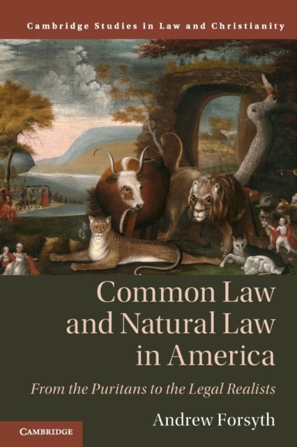 Common Law and Natural Law in America - From the Puritans to the Legal Realists