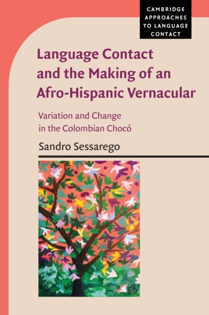 Language Contact and the Making of an Afro-Hispanic Vernacular - Variation and Change in the Colombian Choco