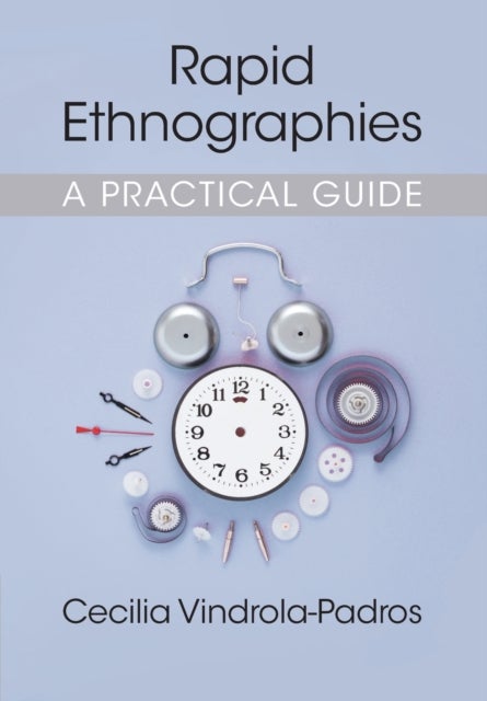 Rapid Ethnographies - A Practical Guide