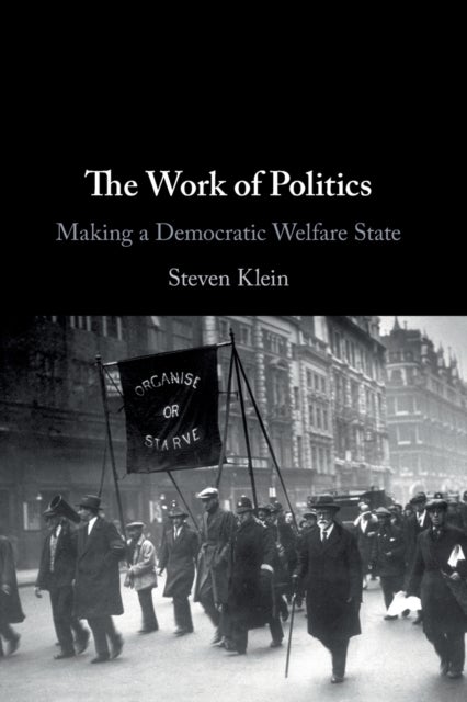 The Work of Politics - Making a Democratic Welfare State