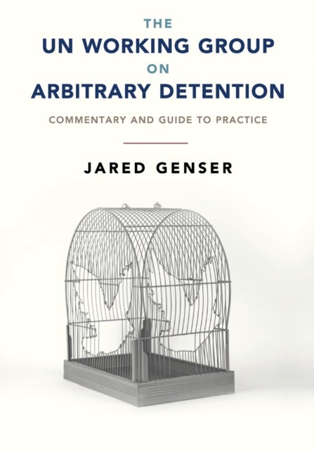 The UN Working Group on Arbitrary Detention - Commentary and Guide to Practice