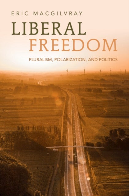 Liberal Freedom - Pluralism, Polarization, and Politics