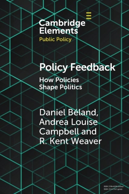 Policy Feedback - How Policies Shape Politics