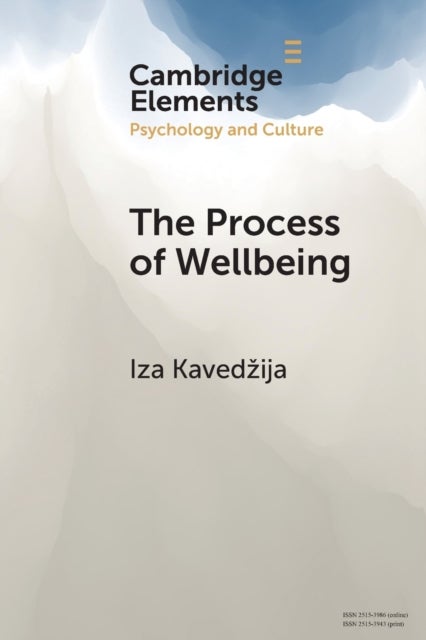 The Process of Wellbeing - Conviviality, Care, Creativity