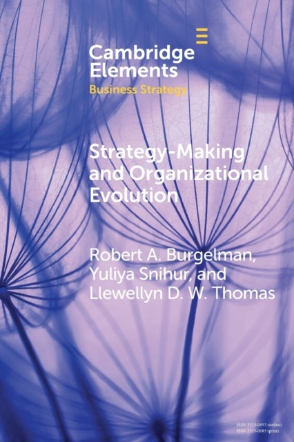 Strategy-Making and Organizational Evolution - A Managerial Agency Perspective