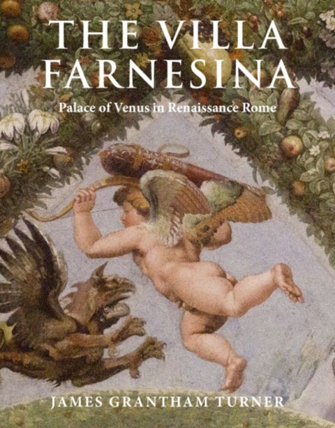 The Villa Farnesina - Palace of Venus in Renaissance Rome