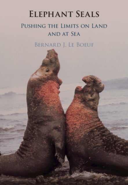 Elephant Seals - Pushing the Limits on Land and at Sea